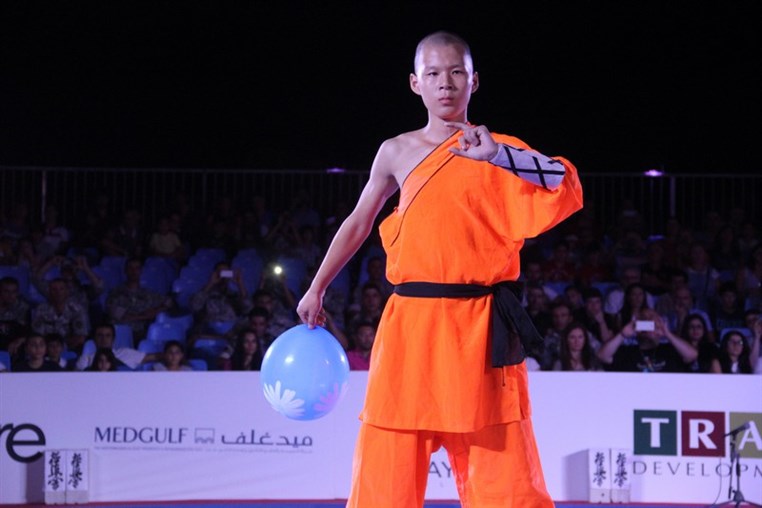 Martial Arts Festival